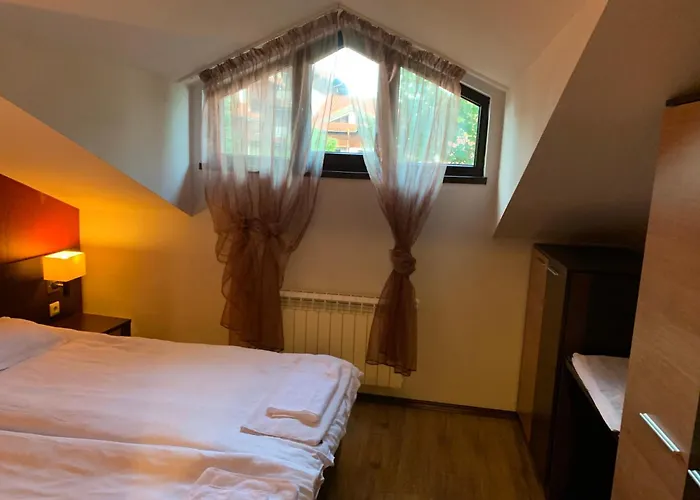 7 In Alexander Complex Banszko