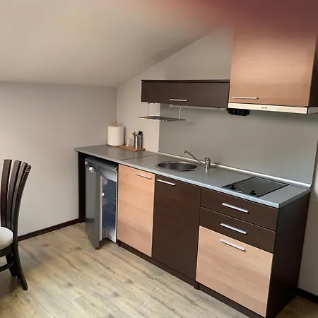 7 In Alexander Complex شقة بانسكو