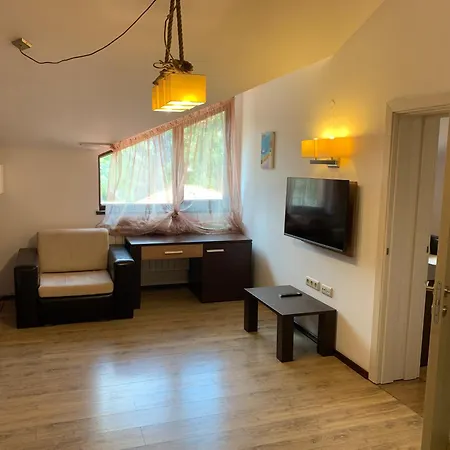 7 In Alexander Complex