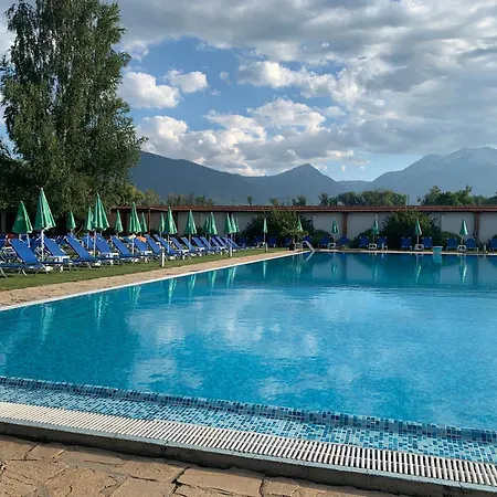 7 In Alexander Complex *