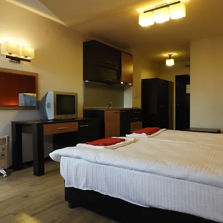 7 In Alexander Complex バンスコ