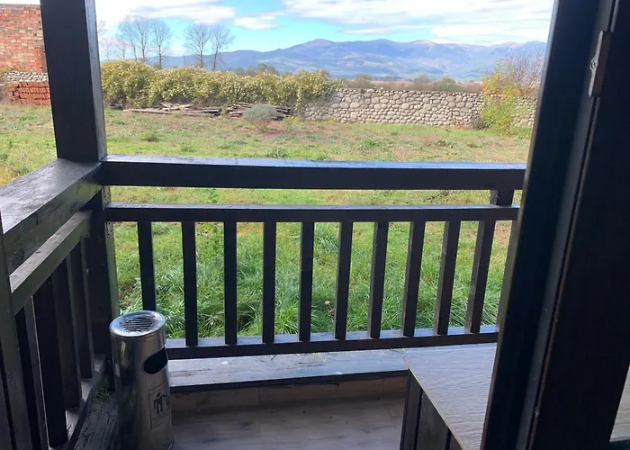 7 In Alexander Complex Daire