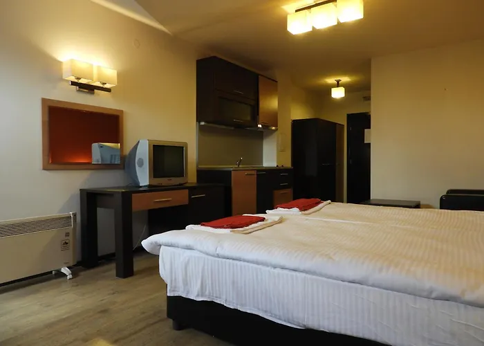 7 In Alexander Complex Bansko